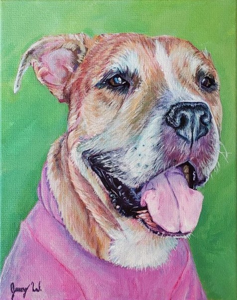 Dog in Pink